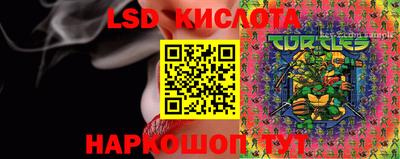 крисы Аргун