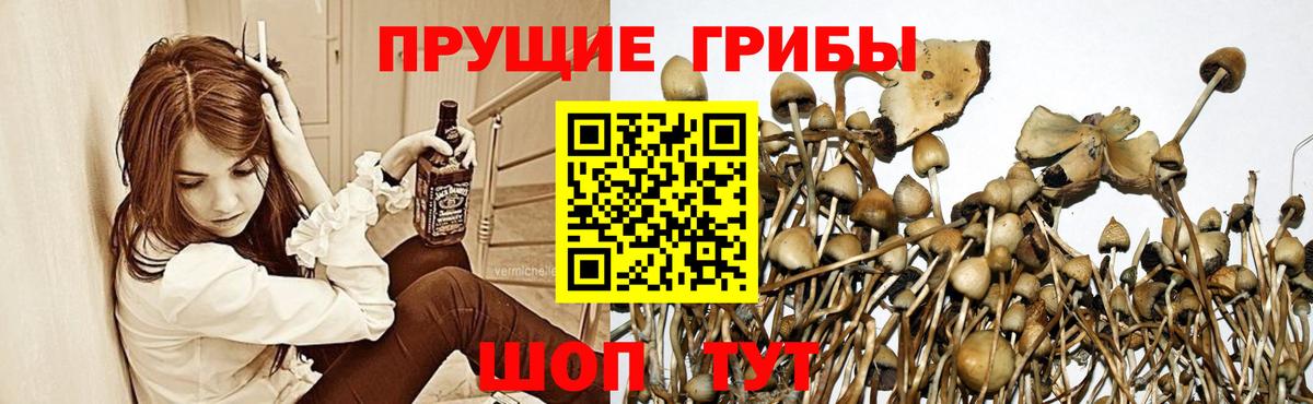 Псилоцибиновые грибы Magic Shrooms  Валуйки  дарнет шоп  Псилоцибиновые грибы MAGIC MUSHROOMS 